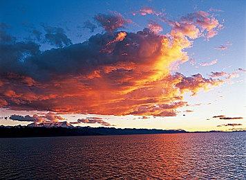 人靠衣装——《人类一败涂地》现已上线10款新皮肤！