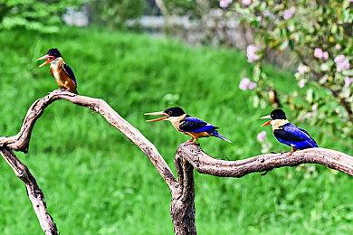 《阿凡达：潘多拉边境》新截图 化身纳美人保卫潘多拉